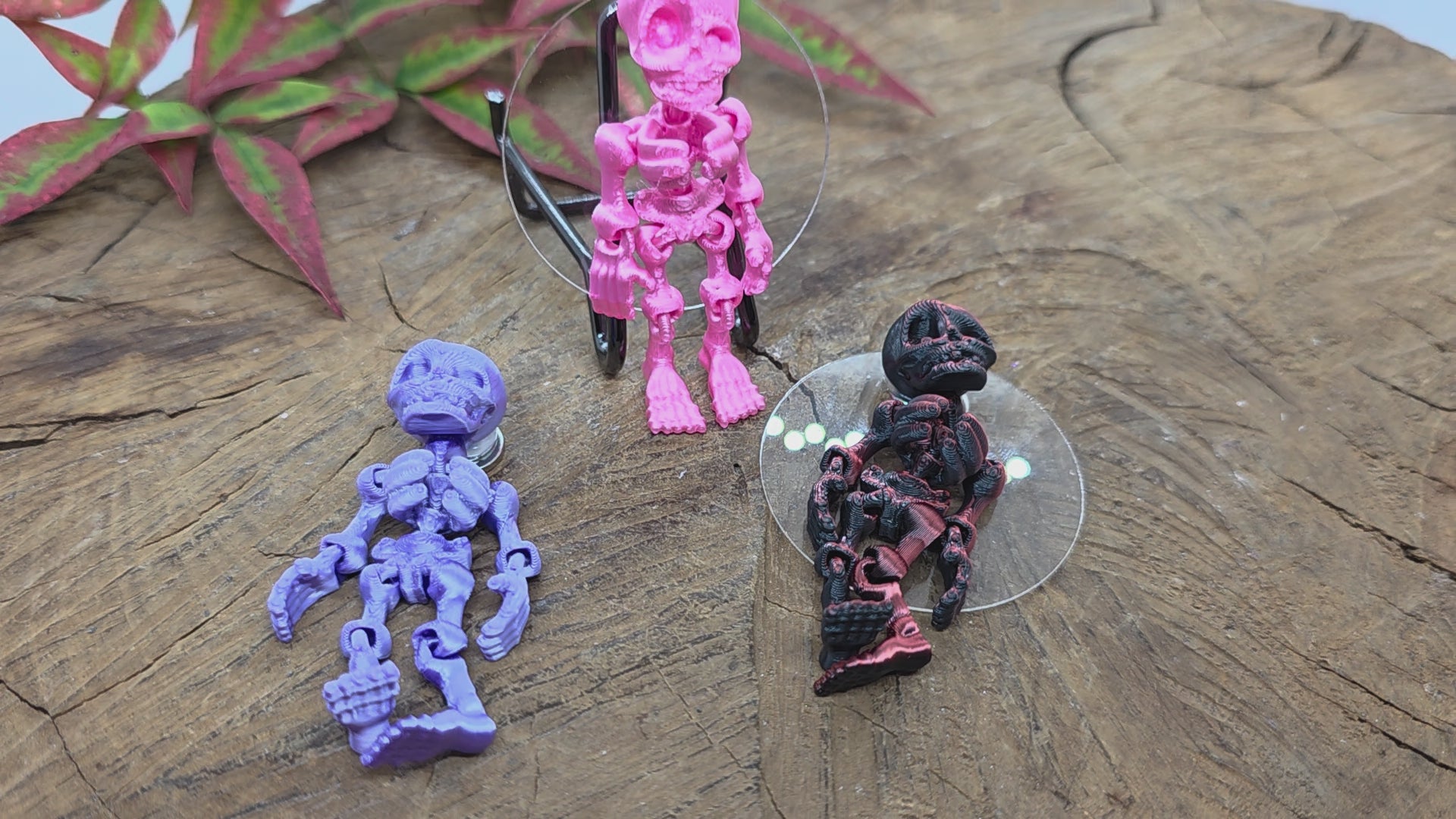 Skeleton Cover Minder - Orange/Pink