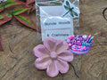 Flower-  Blonde Woods & Cashmere Putty