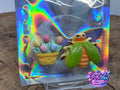 Flower Basket & Bug Cover Minders Pack