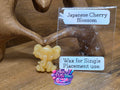 Wax Elephant - Japanese Cherry Blossom