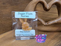 Sugar Plum Fairies 🐰 Bunny Wax